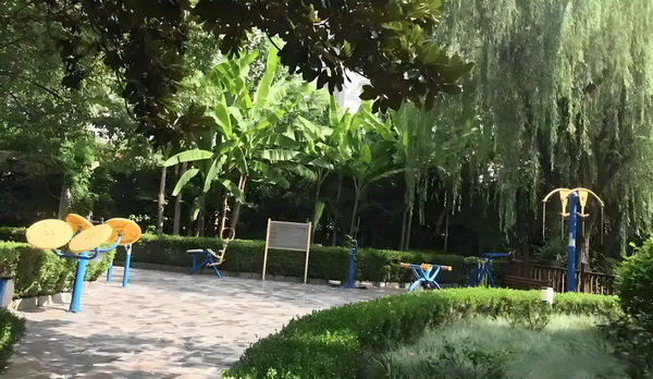 本小姐来自十年后